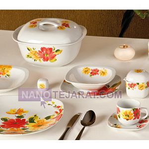 سرویس چینی بوستان سرویس چینی بوستان